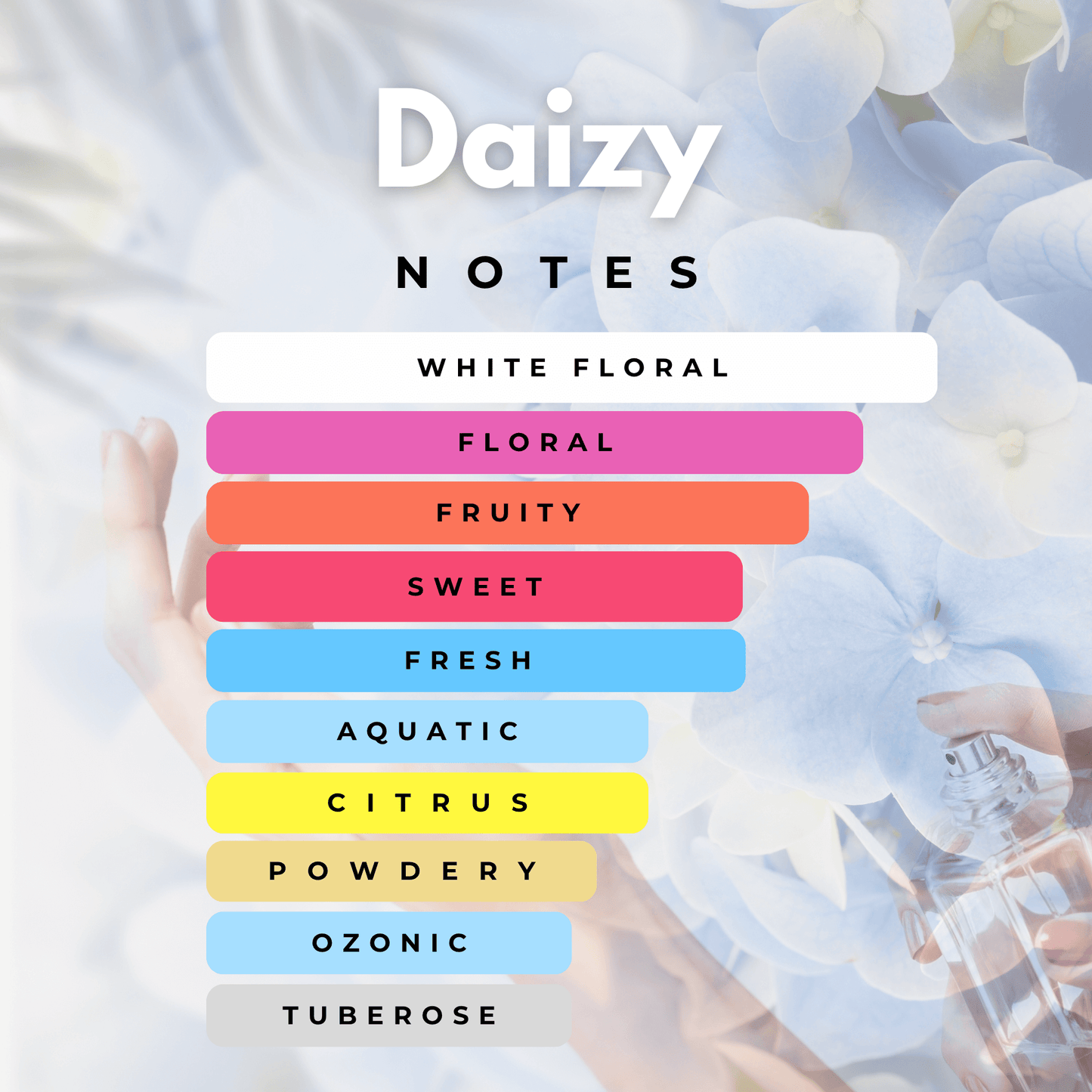 Daizy-Perfumes-Notes