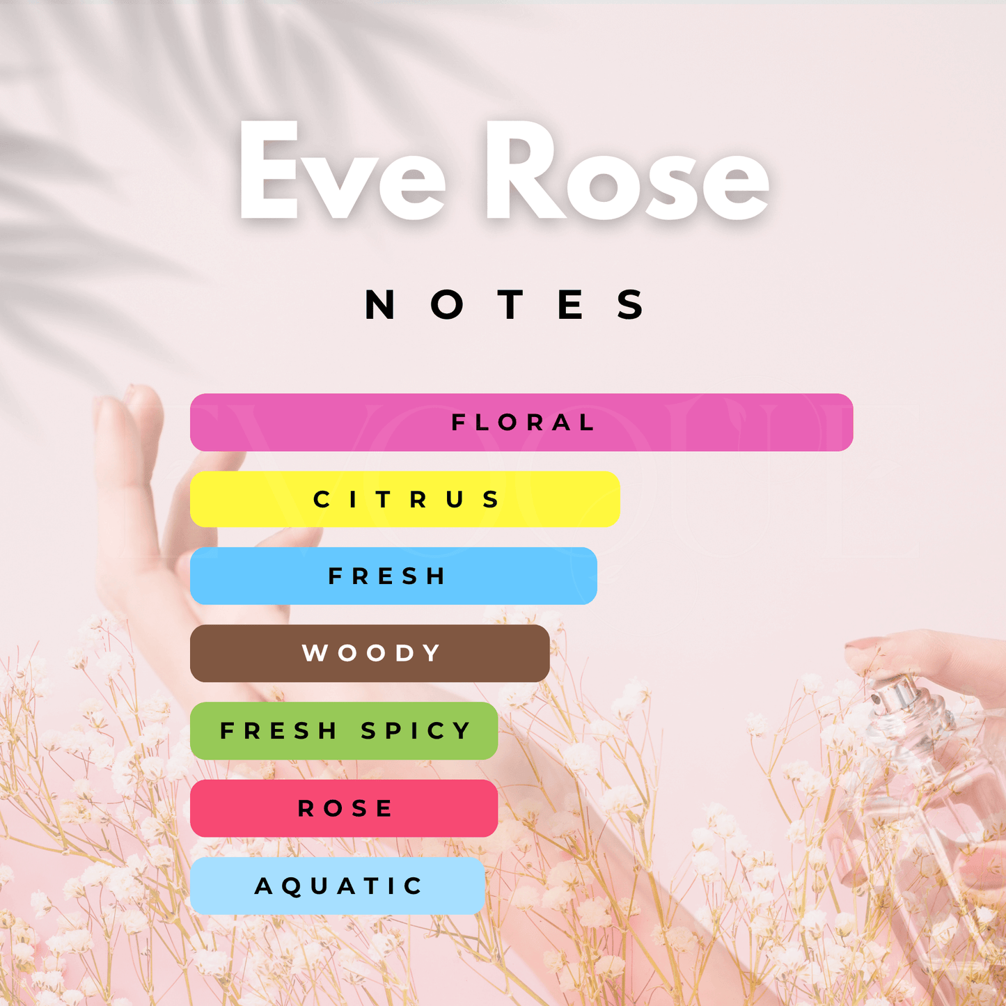 Eve Rose β Timeless Elegance, Modern Grace