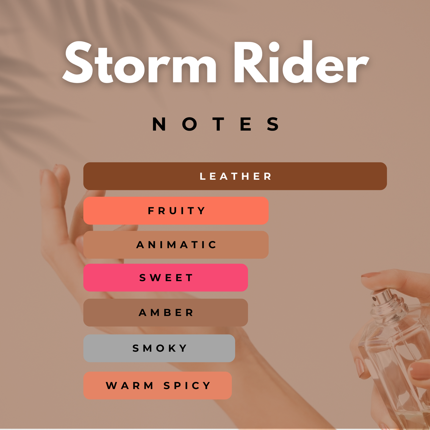 Storm Rider - Strong, Leathery & Smoky
